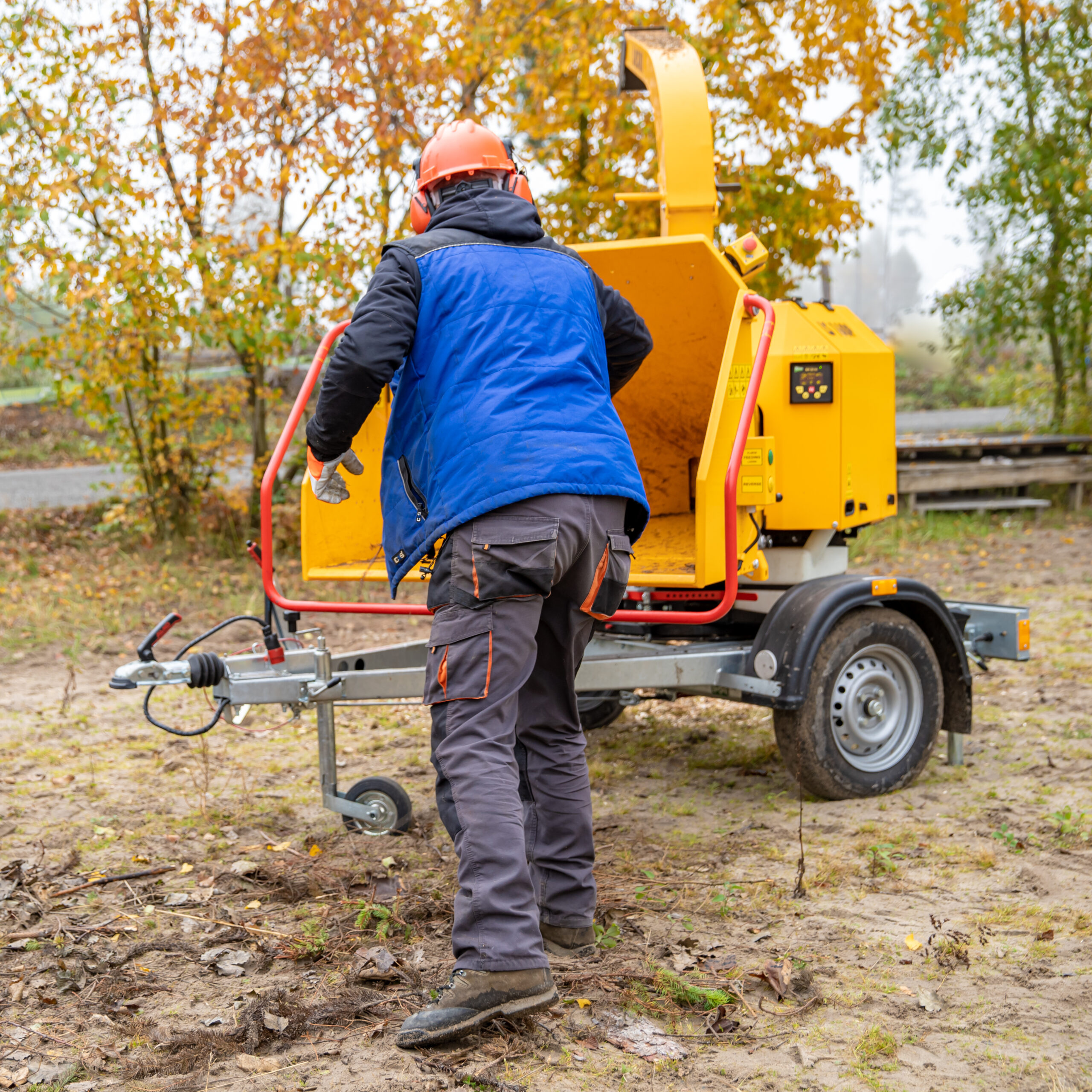 cleaning the forest and chipping branches using a special machine