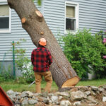 Manual worker removing tree in residential area