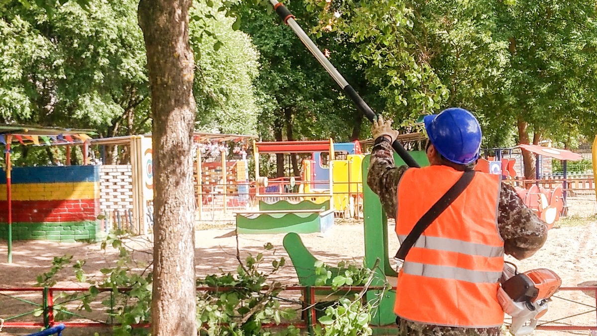 Working with a chainsaw on a telescopic bar on the territory of
