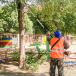 Working with a chainsaw on a telescopic bar on the territory of