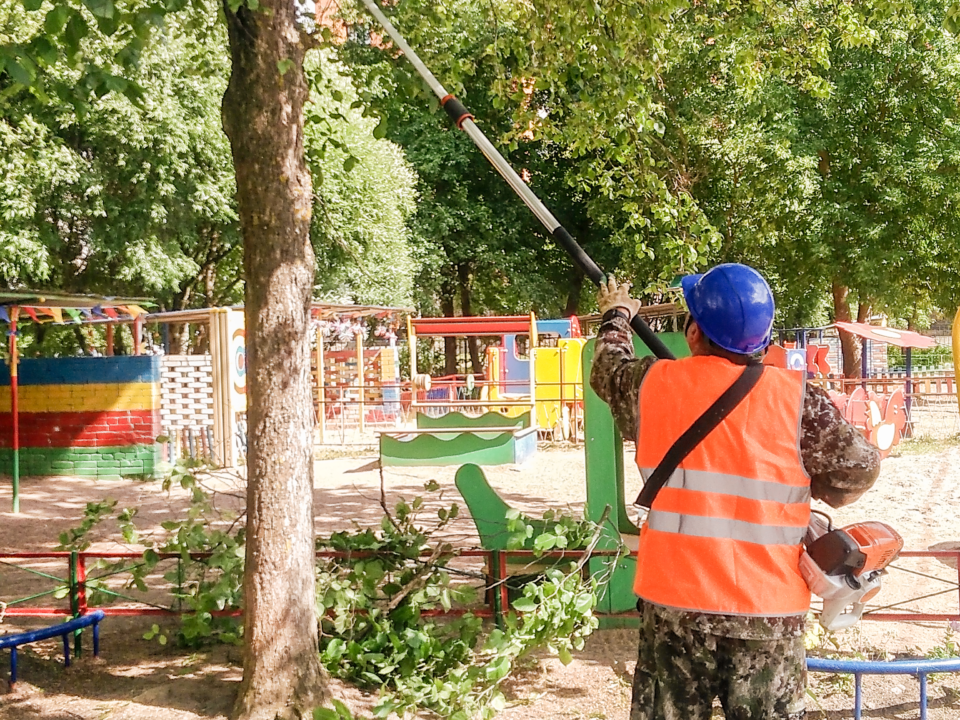 Working with a chainsaw on a telescopic bar on the territory of