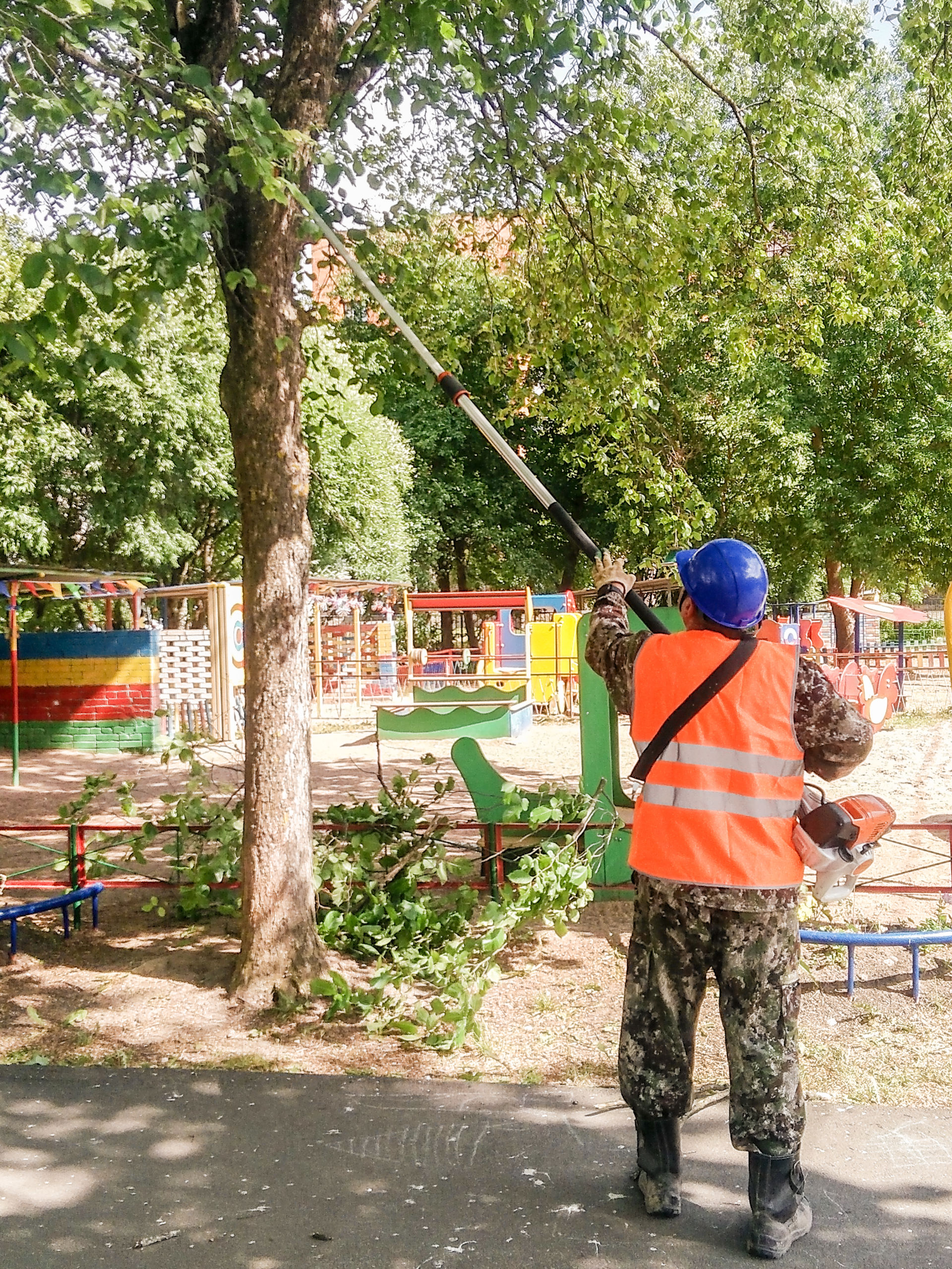 Working with a chainsaw on a telescopic bar on the territory of
